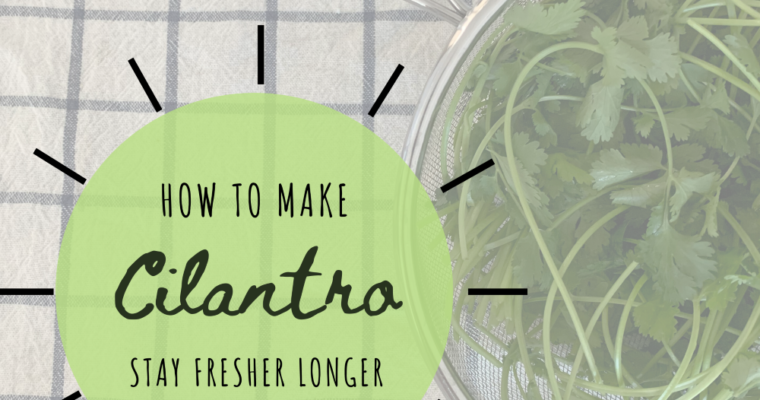 How to make Cilantro (or any other leafy herbs) stay fresher longer